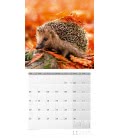 Nástěnný kalendář  Zvířata v lese / Heimische Wildtiere 2019