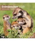 Nástěnný kalendář  Surikaty / Erdmännchen 2019