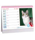 Tischkalender Kočky  2019