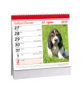 Stolní kalendář Pes - věrný přítel + psí jména 2019