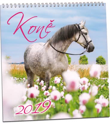 Wandkalender Koně 2019