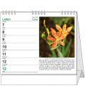 Table calendar IDEÁL - Léčivé rostliny 2019