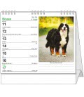 Stolní kalendář IDEÁL - Pes, věrný přítel 2019