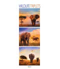 Nástěnný kalendář Zvířata / Wildlife Triplets 2019