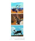 Nástěnný kalendář Zvířata / Wildlife Triplets 2019