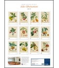 Nástěnný kalendář Ovoce / P.-A. Poiteau: Alte Obstsorten 2019