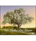 Wall calendar Vom Zauber alter Bäume 2019