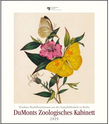 Wandkalender Zoologisches Kabinett: Schmetterlinge 2019