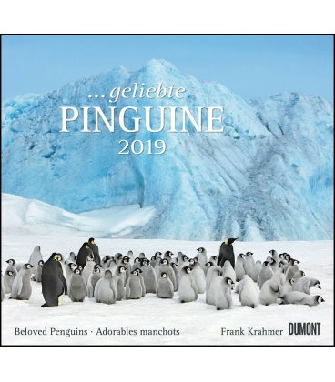 Nástěnný kalendář Tučňáci / …geliebte Pinguine 2019