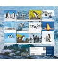 Nástěnný kalendář Tučňáci / …geliebte Pinguine 2019