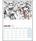 Wall calendar Fahrräder 2019