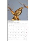 Wandkalender Heimische Vögel T&C 2019