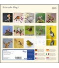 Wall calendar Heimische Vögel T&C 2019