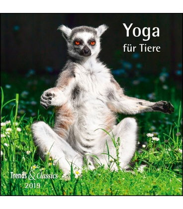 Wandkalender Yoga für Tiere T&C 2019