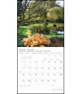 Nástěnný kalendář Zahrady / Gartenparadiese T&C  2019