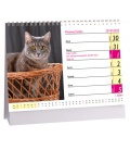 Tischkalender Kočky  2020