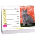 Stolní kalendář Kočky - s kočičími jmény 2020