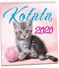 Nástěnný kalendář Koťata 2020