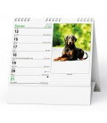 Tischkalender IDEÁL - Pes, věrný přítel - se psími jmény 2020