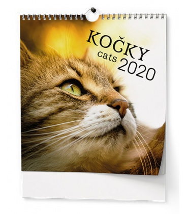 Wall calendar IDEÁL - Kočky 2020