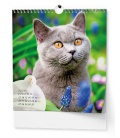 Nástěnný kalendář IDEÁL - Kočky 2020