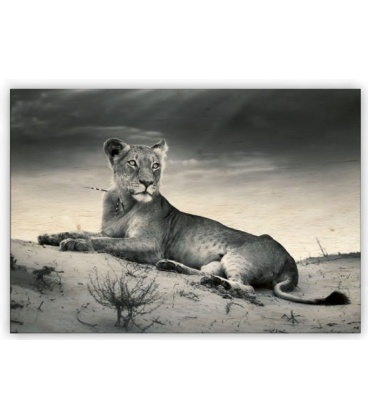 Nástěnný kalendář - Dřevěný obraz -  Lioness 2020