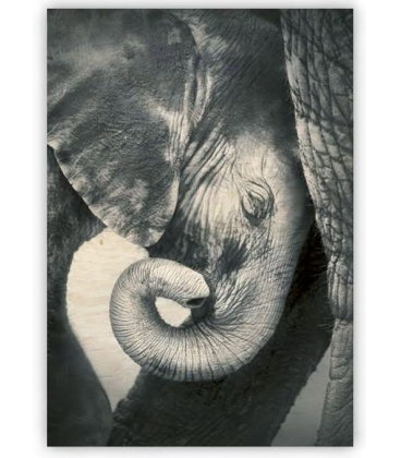 Nástěnný kalendář - Dřevěný obraz -  Little Elephant 2020