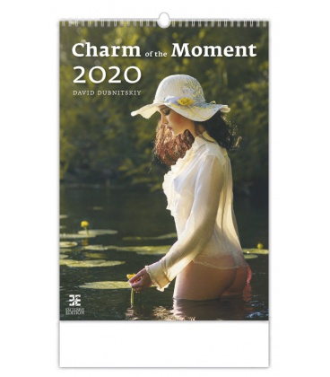 Wall calendar Charm of the Moments 2020