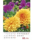 Wall calendar Květiny/Kvetiny 2020