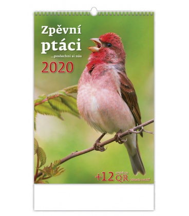 Wall calendar Zpěvní ptáci 2020