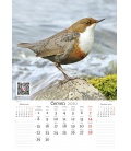 Wall calendar Zpěvní ptáci 2020
