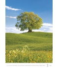 Wall calendar Trees/Baume/Stromy 2020