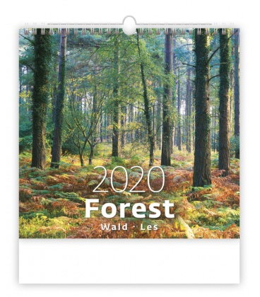 Wandkalender Forest/Wald/Les 2020