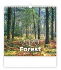 Wandkalender Forest/Wald/Les 2020