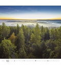 Wall calendar Forest/Wald/Les 2020