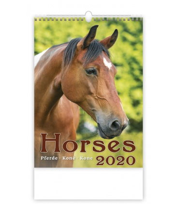 Wandkalender Horses/Pferde/Koně/Kone 2020