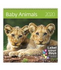 Nástěnný kalendář Baby Animals 2020