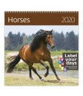Nástěnný kalendář Horses 2020
