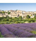 Wandkalender Provence 2020