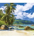 Wall calendar Tropical Beaches 2020