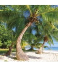 Wandkalender Tropical Beaches 2020