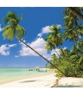 Nástěnný kalendář Tropical Beaches 2020