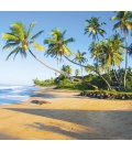 Wandkalender Tropical Beaches 2020