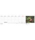 Table calendar Žánrový kalendář 2020