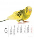 Stolní kalendář Mini Pets 2020