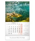 Wall calendar Fishing 2020