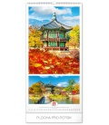 Wall calendar All about Asia 2020