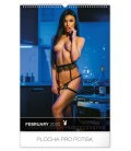 Nástěnný kalendář Playboy 2020