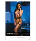 Wall calendar Playboy 2020