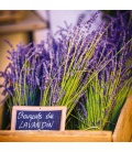 Wall calendar Provence – scented 2020